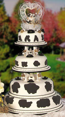 Cow Cakes