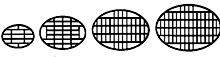 Oval Tiers Wedding Cake Cutting Diagram